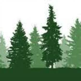 Předávání lesních hospodářských osnov vlastníkům lesů 1